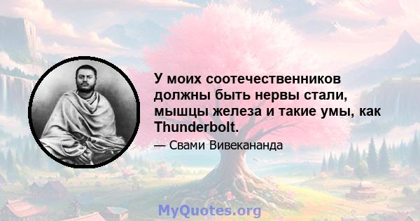 У моих соотечественников должны быть нервы стали, мышцы железа и такие умы, как Thunderbolt.