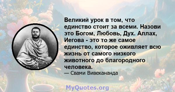 Великий урок в том, что единство стоит за всеми. Назови это Богом, Любовь, Дух. Аллах, Иегова - это то же самое единство, которое оживляет всю жизнь от самого низкого животного до благородного человека.