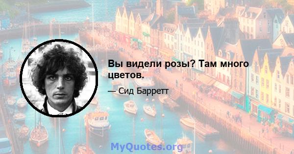 Вы видели розы? Там много цветов.