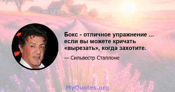 Бокс - отличное упражнение ... если вы можете кричать «вырезать», когда захотите.