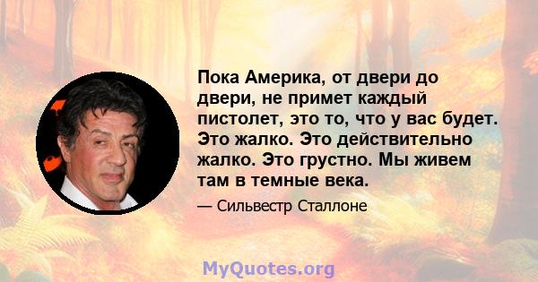 Пока Америка, от двери до двери, не примет каждый пистолет, это то, что у вас будет. Это жалко. Это действительно жалко. Это грустно. Мы живем там в темные века.