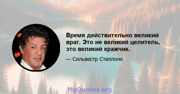 Время действительно великий враг. Это не великий целитель, это великий кражчик.