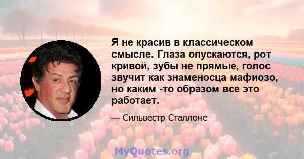 Я не красив в классическом смысле. Глаза опускаются, рот кривой, зубы не прямые, голос звучит как знаменосца мафиозо, но каким -то образом все это работает.