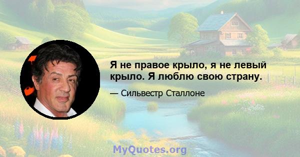 Я не правое крыло, я не левый крыло. Я люблю свою страну.