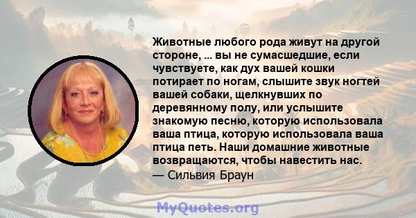 Животные любого рода живут на другой стороне, ... вы не сумасшедшие, если чувствуете, как дух вашей кошки потирает по ногам, слышите звук ногтей вашей собаки, щелкнувших по деревянному полу, или услышите знакомую песню, 