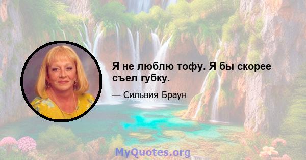 Я не люблю тофу. Я бы скорее съел губку.