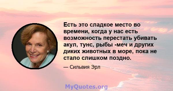 Есть это сладкое место во времени, когда у нас есть возможность перестать убивать акул, тунс, рыбы -меч и других диких животных в море, пока не стало слишком поздно.