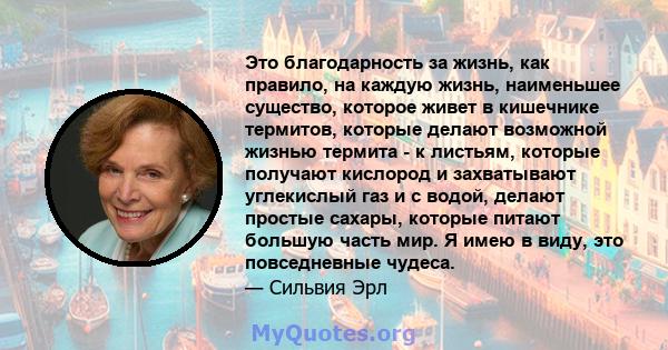 Это благодарность за жизнь, как правило, на каждую жизнь, наименьшее существо, которое живет в кишечнике термитов, которые делают возможной жизнью термита - к листьям, которые получают кислород и захватывают углекислый