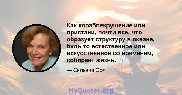 Как кораблекрушение или пристани, почти все, что образует структуру в океане, будь то естественное или искусственное со временем, собирает жизнь.