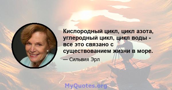 Кислородный цикл, цикл азота, углеродный цикл, цикл воды - все это связано с существованием жизни в море.