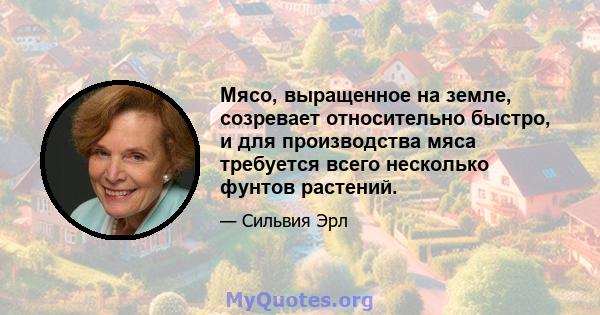 Мясо, выращенное на земле, созревает относительно быстро, и для производства мяса требуется всего несколько фунтов растений.