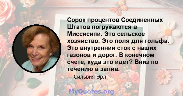 Сорок процентов Соединенных Штатов погружаются в Миссисипи. Это сельское хозяйство. Это поля для гольфа. Это внутренний сток с наших газонов и дорог. В конечном счете, куда это идет? Вниз по течению в залив.