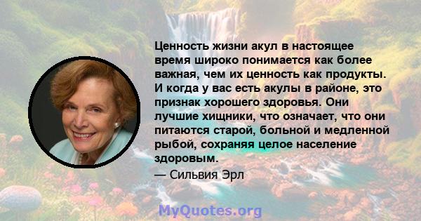 Ценность жизни акул в настоящее время широко понимается как более важная, чем их ценность как продукты. И когда у вас есть акулы в районе, это признак хорошего здоровья. Они лучшие хищники, что означает, что они