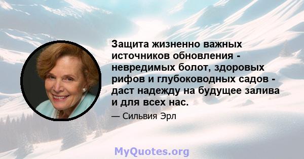 Защита жизненно важных источников обновления - невредимых болот, здоровых рифов и глубоководных садов - даст надежду на будущее залива и для всех нас.