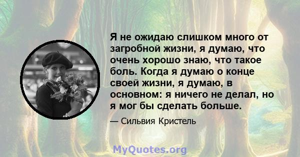 Я не ожидаю слишком много от загробной жизни, я думаю, что очень хорошо знаю, что такое боль. Когда я думаю о конце своей жизни, я думаю, в основном: я ничего не делал, но я мог бы сделать больше.