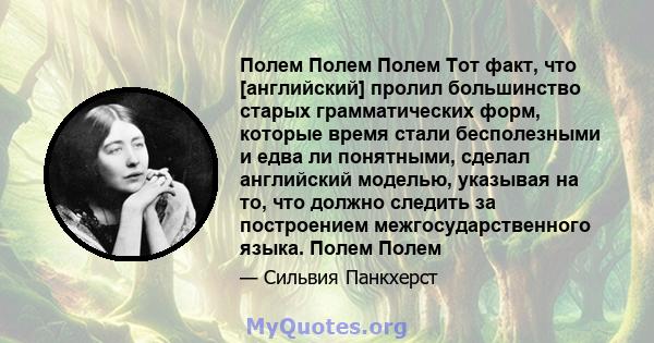 Полем Полем Полем Тот факт, что [английский] пролил большинство старых грамматических форм, которые время стали бесполезными и едва ли понятными, сделал английский моделью, указывая на то, что должно следить за