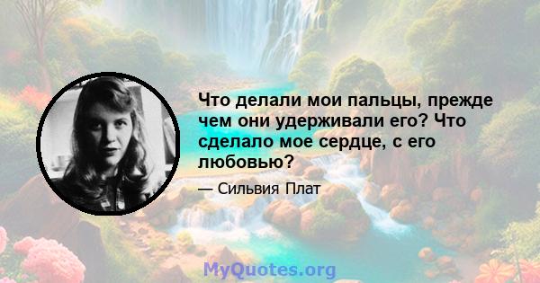 Что делали мои пальцы, прежде чем они удерживали его? Что сделало мое сердце, с его любовью?