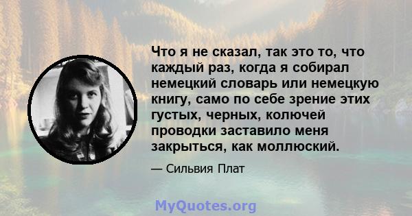 Что я не сказал, так это то, что каждый раз, когда я собирал немецкий словарь или немецкую книгу, само по себе зрение этих густых, черных, колючей проводки заставило меня закрыться, как моллюский.