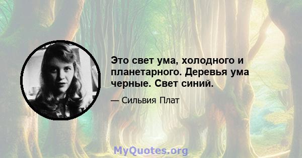 Это свет ума, холодного и планетарного. Деревья ума черные. Свет синий.