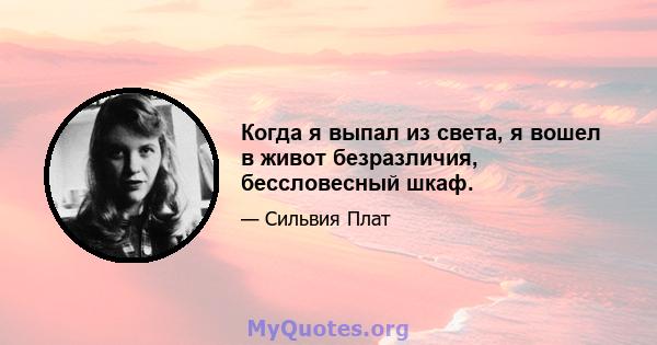 Когда я выпал из света, я вошел в живот безразличия, бессловесный шкаф.