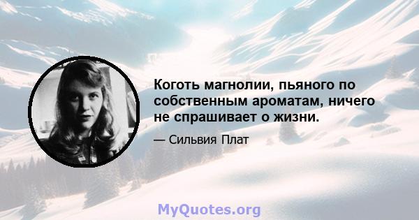 Коготь магнолии, пьяного по собственным ароматам, ничего не спрашивает о жизни.