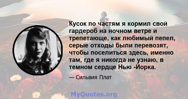 Кусок по частям я кормил свой гардероб на ночном ветре и трепетающе, как любимый пепел, серые отходы были перевозят, чтобы поселиться здесь, именно там, где я никогда не узнаю, в темном сердце Нью -Йорка.