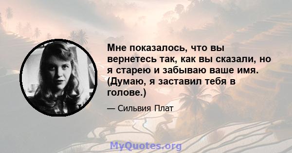 Мне показалось, что вы вернетесь так, как вы сказали, но я старею и забываю ваше имя. (Думаю, я заставил тебя в голове.)