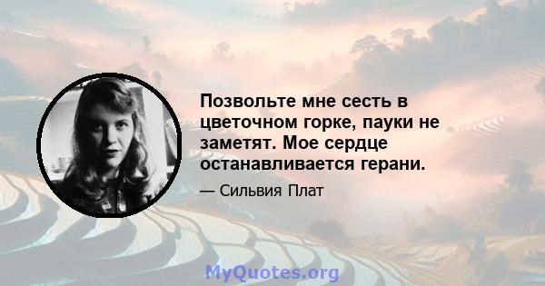 Позвольте мне сесть в цветочном горке, пауки не заметят. Мое сердце останавливается герани.