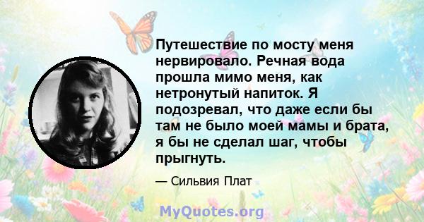 Путешествие по мосту меня нервировало. Речная вода прошла мимо меня, как нетронутый напиток. Я подозревал, что даже если бы там не было моей мамы и брата, я бы не сделал шаг, чтобы прыгнуть.