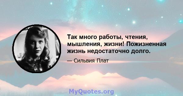 Так много работы, чтения, мышления, жизни! Пожизненная жизнь недостаточно долго.