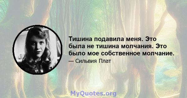 Тишина подавила меня. Это была не тишина молчания. Это было мое собственное молчание.