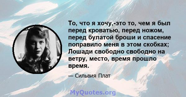 То, что я хочу,-это то, чем я был перед кроватью, перед ножом, перед булатой броши и спасение поправило меня в этом скобках; Лошади свободно свободно на ветру, место, время прошло время.