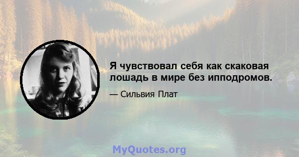 Я чувствовал себя как скаковая лошадь в мире без ипподромов.