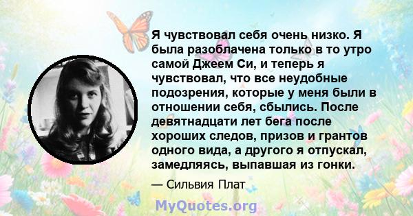 Я чувствовал себя очень низко. Я была разоблачена только в то утро самой Джеем Си, и теперь я чувствовал, что все неудобные подозрения, которые у меня были в отношении себя, сбылись. После девятнадцати лет бега после