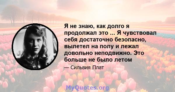 Я не знаю, как долго я продолжал это ... Я чувствовал себя достаточно безопасно, вылетел на полу и лежал довольно неподвижно. Это больше не было летом