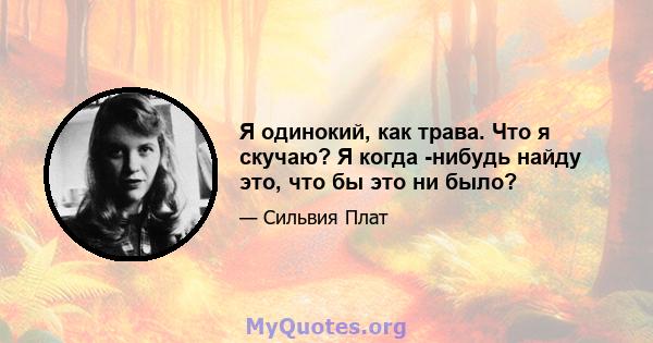 Я одинокий, как трава. Что я скучаю? Я когда -нибудь найду это, что бы это ни было?