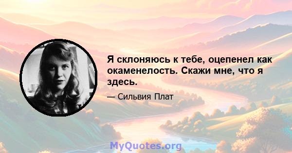 Я склоняюсь к тебе, оцепенел как окаменелость. Скажи мне, что я здесь.