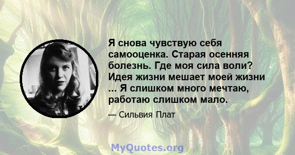 Я снова чувствую себя самооценка. Старая осенняя болезнь. Где моя сила воли? Идея жизни мешает моей жизни ... Я слишком много мечтаю, работаю слишком мало.