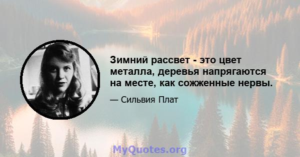 Зимний рассвет - это цвет металла, деревья напрягаются на месте, как сожженные нервы.