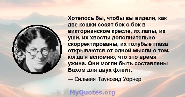 Хотелось бы, чтобы вы видели, как две кошки сосят бок о бок в викторианском кресле, их лапы, их уши, их хвосты дополнительно скорректированы, их голубые глаза открываются от одной мысли о том, когда я вспомню, что это