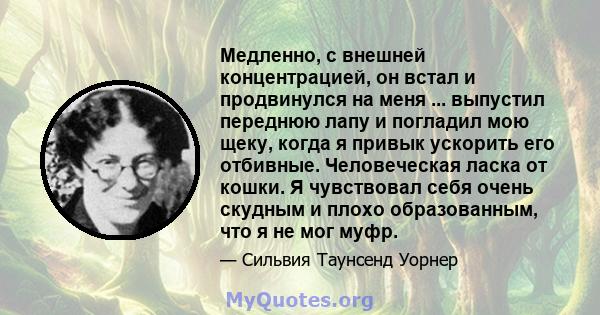 Медленно, с внешней концентрацией, он встал и продвинулся на меня ... выпустил переднюю лапу и погладил мою щеку, когда я привык ускорить его отбивные. Человеческая ласка от кошки. Я чувствовал себя очень скудным и