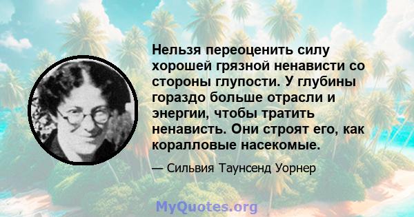 Нельзя переоценить силу хорошей грязной ненависти со стороны глупости. У глубины гораздо больше отрасли и энергии, чтобы тратить ненависть. Они строят его, как коралловые насекомые.