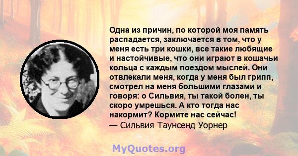 Одна из причин, по которой моя память распадается, заключается в том, что у меня есть три кошки, все такие любящие и настойчивые, что они играют в кошачьи кольца с каждым поездом мыслей. Они отвлекали меня, когда у меня 