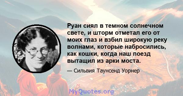 Руан сиял в темном солнечном свете, и шторм отметал его от моих глаз и взбил широкую реку волнами, которые набросились, как кошки, когда наш поезд вытащил из арки моста.