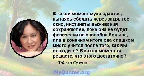 В какой момент муха сдается, пытаясь сбежать через закрытое окно, инстинкты выживания сохраняют ее, пока она не будет физически не способна больше, или в конечном итоге она слишком много учится после того, как вы