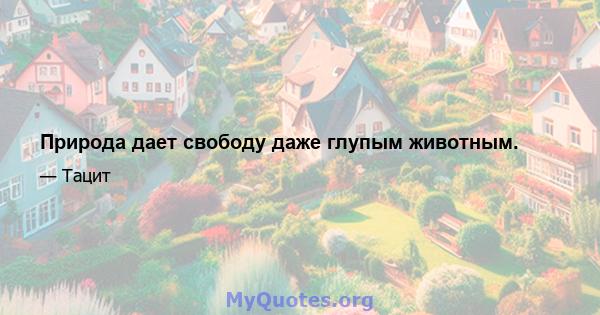 Природа дает свободу даже глупым животным.