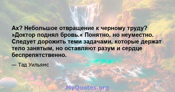 Ах? Небольшое отвращение к черному труду? »Доктор поднял бровь.« Понятно, но неуместно. Следует дорожить теми задачами, которые держат тело занятым, но оставляют разум и сердце беспрепятственно.