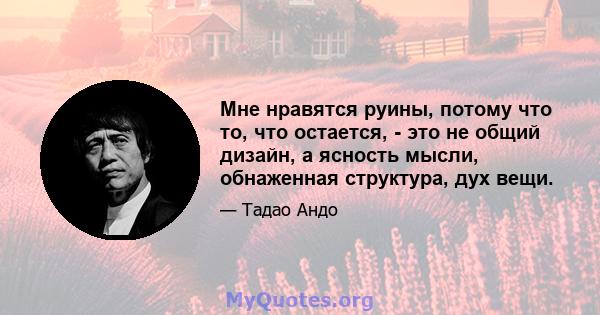 Мне нравятся руины, потому что то, что остается, - это не общий дизайн, а ясность мысли, обнаженная структура, дух вещи.