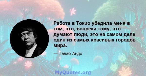 Работа в Токио убедила меня в том, что, вопреки тому, что думают люди, это на самом деле один из самых красивых городов мира.