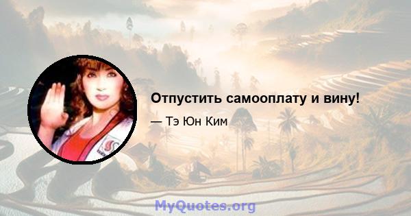 Отпустить самооплату и вину!